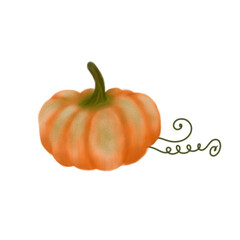 Beautiful pumpkin vegetable illustration in watercolor style