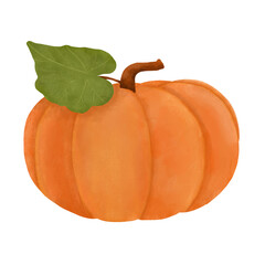 Beautiful pumpkin vegetable illustration in watercolor style