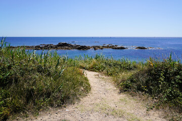 Fototapeta na wymiar beach access walking path in vendee west coast in France