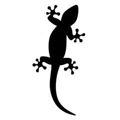 Silhouette of a lizard on a white background. Black monochrome lizard. Reptiles eat insects