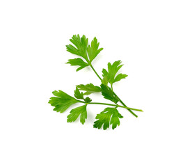 Parsley Leaves Isolated