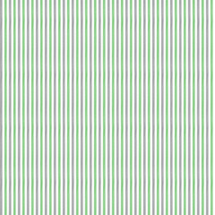 Obraz premium Double line seamless pattern