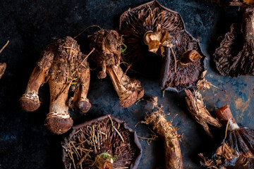 dried mushrooms on the dark background