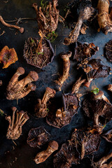 dried mushrooms on the dark background