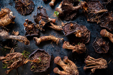 dried mushrooms on the dark background