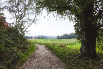 Wanderweg am Pastoratsberg in Essen Werden