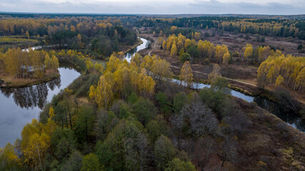 panoramic view from a drone on the edge of the forest with wooden houses and a river against the backdrop of autumn nature