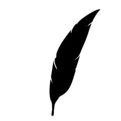 feather silhouette isolated