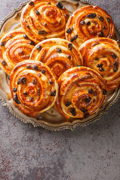 Just baked pain aux raisins buns are also called escargot or pain russe, is a spiral pastry with custard cream and raisin closeup in the plate on the table. Vertical top view from above