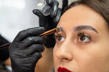 Portrait of a sexy young girl in a salon where her eyebrows are dyed.