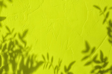 Abstract tree leaves shadows on greenish yellow concrete wall texture with roughness and irregularities. Abstract trendy nature concept background. Copy space for text overlay, poster mockup flat lay 