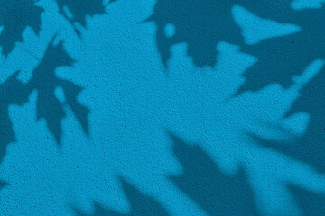 Shadow of leaves on blue concrete wall texture with roughness and irregularities. Abstract trendy...