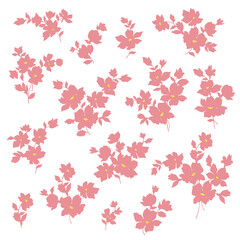 Fototapeta na wymiar Beautiful flower illustration material collection,