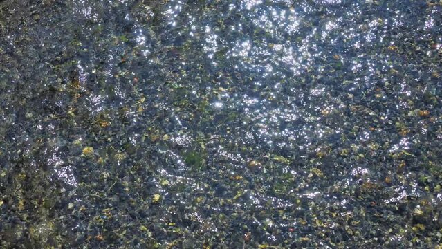 小川の水面に反射する太陽の光　キラキラ