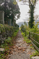 path in the woods on autumn