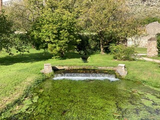 natura e viaggi