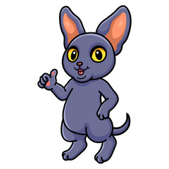 Cute peterbald cat cartoon giving thumb up