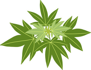 simplicity cannabis plant freehand drawing