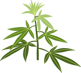 simplicity cannabis plant freehand drawing