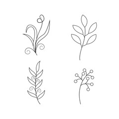 Collection of botanical line art petals, plants. Hand drawn sketch branch for vector illustration elements