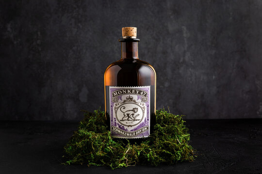Minsk, Belarus - 23-10-2022: a bottle of Monkey 47 Schwarzwald dry gin on dark background