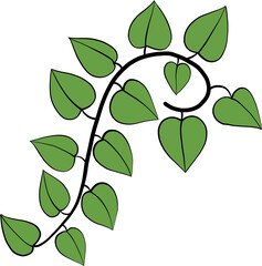 simplicity devil ivy freehand drawing