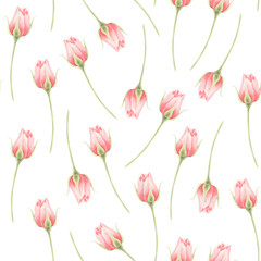 Seamless pattern with watercolor pink rosebuds isolated. Floral pattern with watercolor roses.