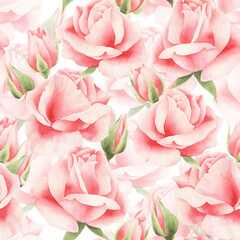 Fototapeta na wymiar Watercolor pink rose background. Pattern with watercolor roses in white.