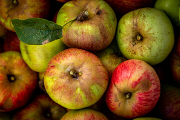 Pommes