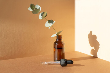 Mockup of unmarked open glass bottle with branch of eucalyptus next to pipette with a moisturizing...