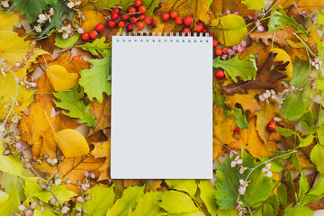 Naklejka na ściany i meble Notebook with leaves. White card with space for text on the background of fallen autumn yellow, brown, green leaves, top view, copy space