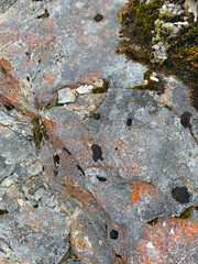 Close-up of weathered and textured granite rock with moss and lichen., Denniston Plateau, West Coast, New Zealand