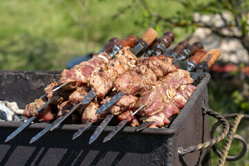 barbecue cooking outdoors grilled meat