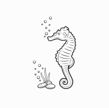 illustration of seahorse, vector art.