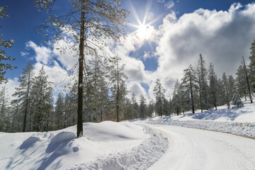 Snow covered road leading thru a forest in a cold winter landscape with blue sky, some clouds, and sunshine.