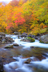 mountain river in autumn