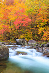 mountain river in autumn