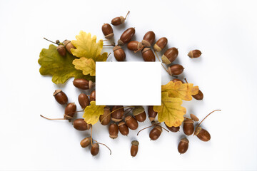 autumn harvest concept. layout of composition of yellow fallen oak leaves and acorns with caps and twigs on a white background. view from above. flat lay. Copy space in the center in a blank square
