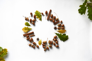 Autumn harvest concept. free space, copy space in the center in a circle. flat lay creative composition . fall yellow green autumn leaves, acorns with hats, cinnamon, star anise on white background.