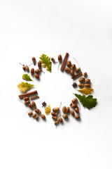 Autumn harvest concept. free space, copy space in the center in a circle. flat lay creative composition . fall yellow green autumn leaves, acorns with hats, cinnamon, star anise on white background.