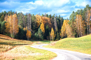 Fototapeta premium A winding rural road curves through autumn trees in Latvia