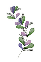 Vector watercolor branch, hand drawn, isolated on white.