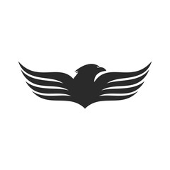 Falcon eagle bird