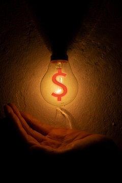 A Hand Blocking Light From A Light Bulb With A Dollar Sign. Business Money Protection Concept.