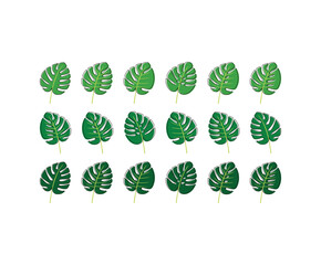 Monstera Tropical Set of Plant Green Leaves. Flat Monstera Vector Illustration Set Isolated on White.