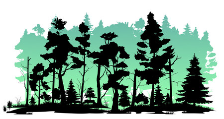 Old trees. Coniferous forest with firs and pines. Landscape with trees and grass. Silhouette picture. Isolated on white background. Vector.