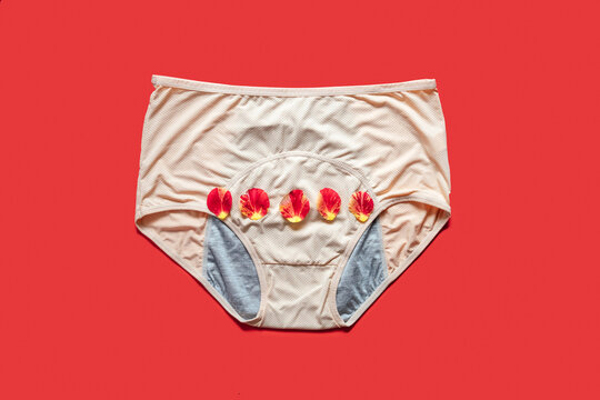 Reusable Period Underwear on red background. Absorbent and Affordable Period panties to absorb menstrual fluid