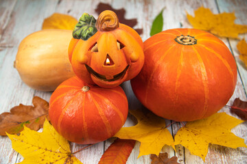 Fresh pumpkins on autumn background