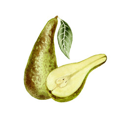 Collection of hand drawn watercolor pears isolated on white background