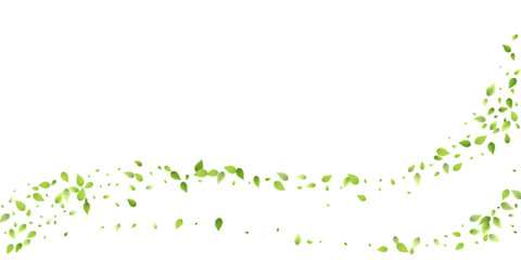 Obraz premium Leaves Green Falling Flying Foliage Leaf Tea Mint